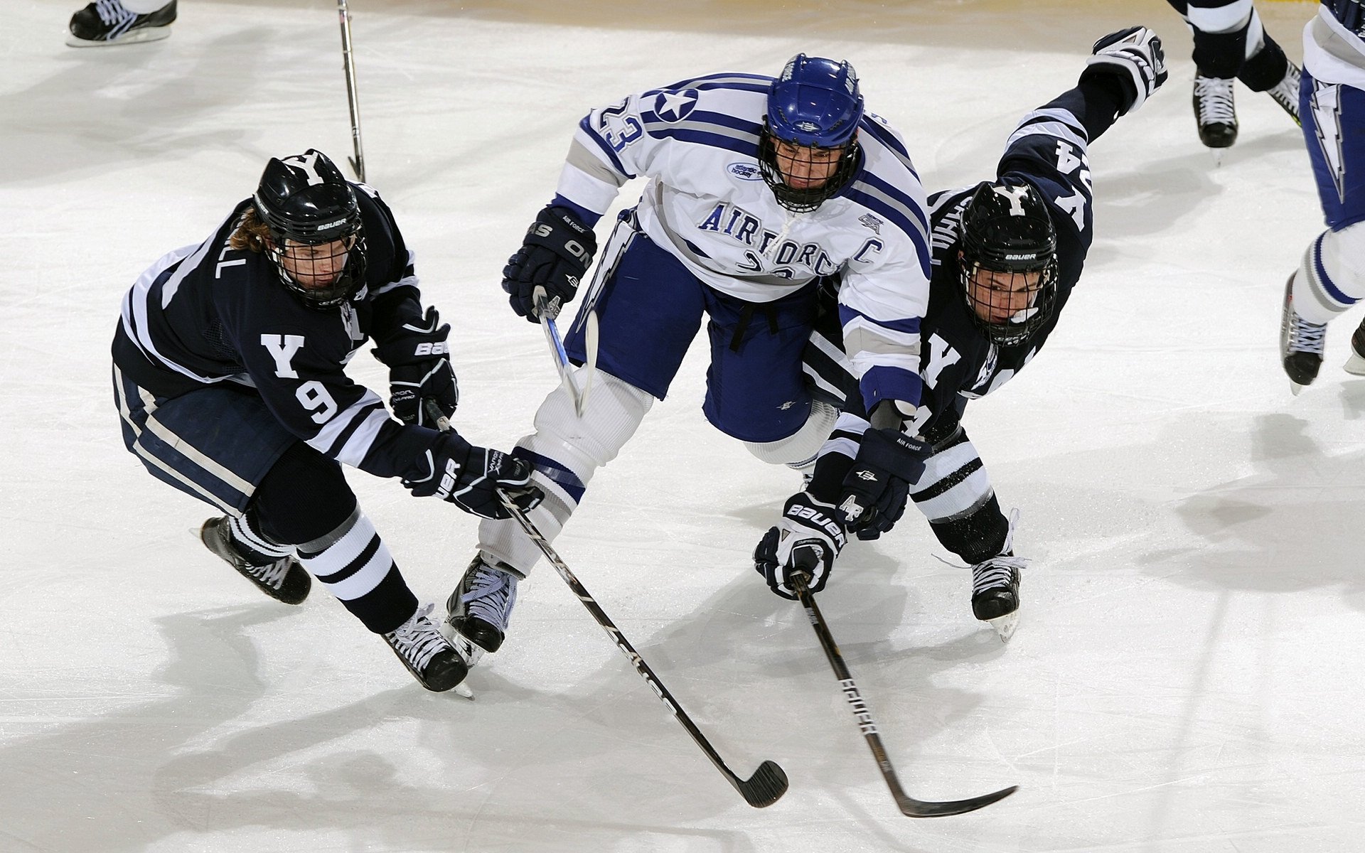 米兰全站APP正式版下载-体育赛事现场管理优化，体育赛事管理要素