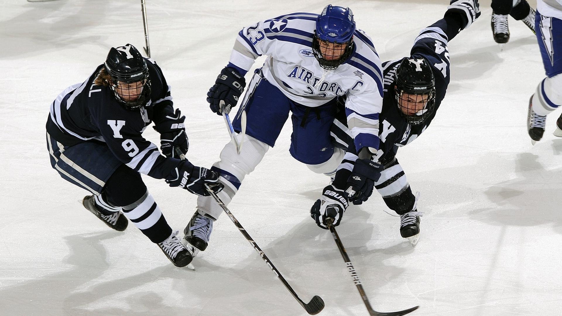 体育明星品牌建设