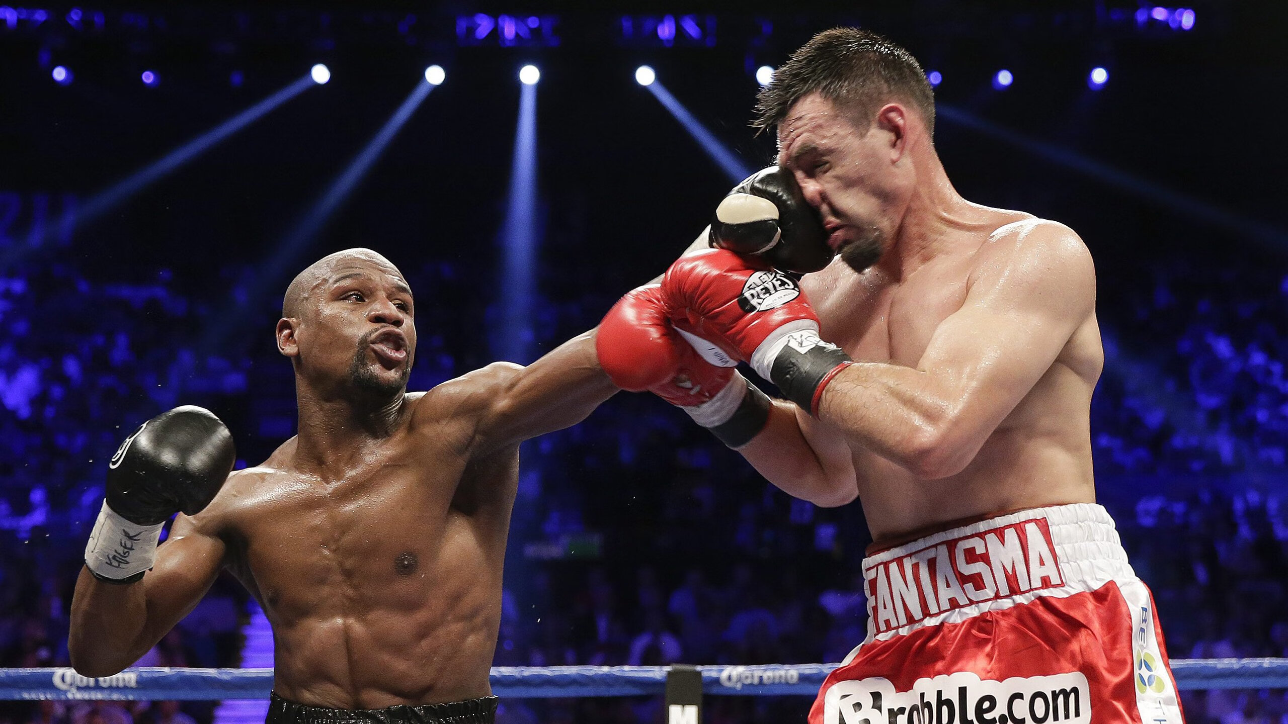 国际柔道联合会公布年度总积分 各级别榜首高度集中