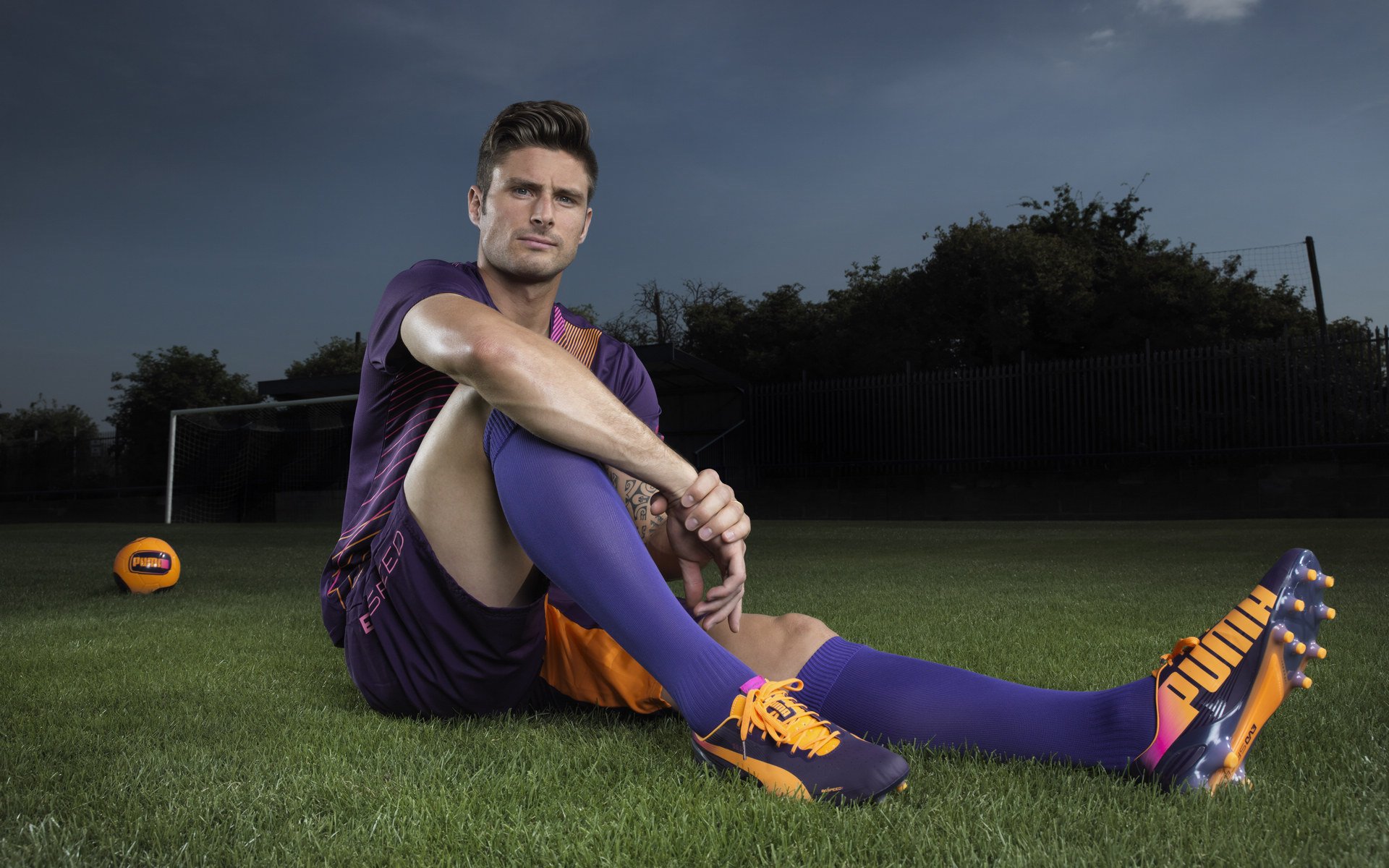 足球明星进球纪录统计